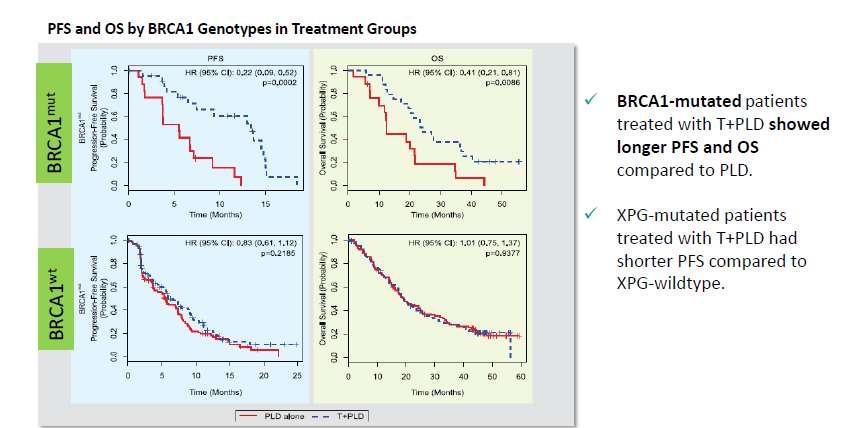 2. Predictive BRCA: impact on patient therapy Analysis