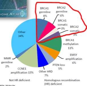 Beyond BRCA: HRD phenotype BRCA germline mutation BRCA somatic mutation HR