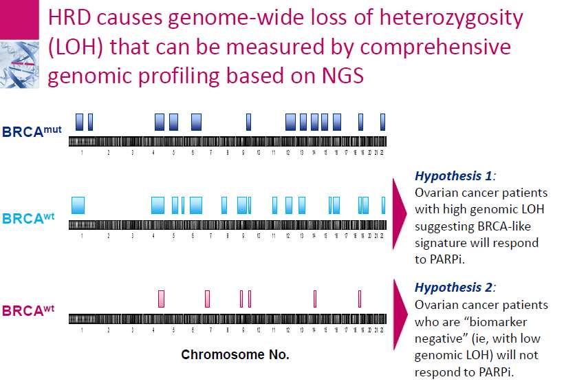 Homologous Recombination Deficiency (HRD) Assay Do we have one?