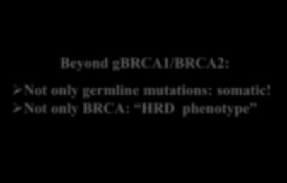 Ovarian Cancer: Genetic Testing What did we know? What do we know today? BRCA1/BRCA2 Germline Mutations Beyond gbrca1/brca2: Not only germline mutations: somatic!