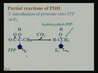 (Refer Slide Time: 19:58) And when they are coming to this, first reaction pyruvate dehydrogenase, this introduction of pyruvate onto TPP with the