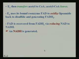 presence of another cofactor NAD; it forms E 3 FAD and NADH and H and with the release of acetyl CoA.