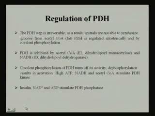 (Refer Slide Time: 30:14) Now, if we see the regulation then, pyruvate dehydrogenase step is irreversible, as a result, animals are not able to synthesize glucose from acetyl CoA or fat, pyruvate