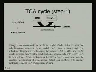 (Refer Slide Time: 33:24) Now, coming to the actual steps, now acetyl CoA is formed now acetyl CoA is entered to the mitochondria; in the mitochondria, oxalo acetate is present, now inside this