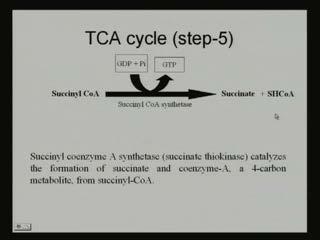 ketoglutarate to succinyl CoA succinyl CoA here also we can find that, 1 molecule of carbon dioxide is released and 1 molecule of NADH is released at coenzyme S H is required to form succinyl CoA.