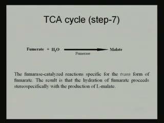 (Refer Slide Time: 45:39) Now, when fumarate in the next step that step seven; that fumarate is getting converted to malate and in the presence of enzyme fumarase.