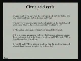 (Refer Slide Time: 05:44) So, this citric acid cycle at a glance if we see, the citric acid cycle involves the conversion of carbohydrate, fats and amino acid into the into carbon dioxide and water.
