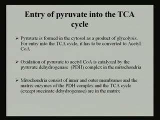 (Refer Slide Time: 08:49) Now, it is very important to know the entry of pyruvate into the TCA cycle; pyruvate is formed in the cytoplasm and as a product of glycolysis.