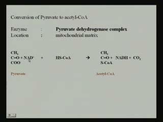 (Refer Slide Time: 16:39) Now, if we see the conversion of pyruvate to acetyl CoA, then we can find as we have already learned that, pyruvate