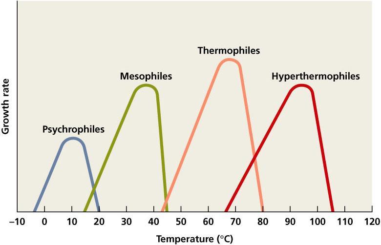 Temperature Bacteria are divided into four classes for their ability