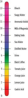 Acidity / alkalinity Bacteria are divided in three groups for their ability to grow at different ph s.