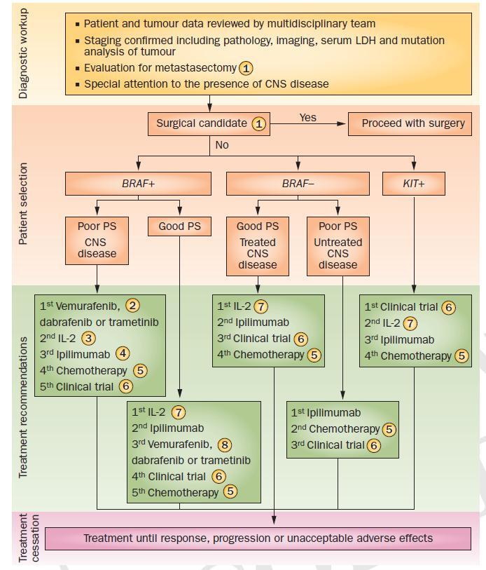 Stage IV Immunotherapy Algorithm Society for Immunotherapy of Cancer Consensus Statement on Tumour