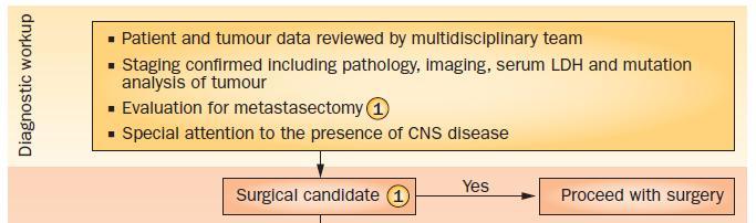 Stage IV Immunotherapy Algorithm Society for Immunotherapy of Cancer Consensus Statement on Tumour Immunotherapy for Cutaneous Melanoma (1) All patients