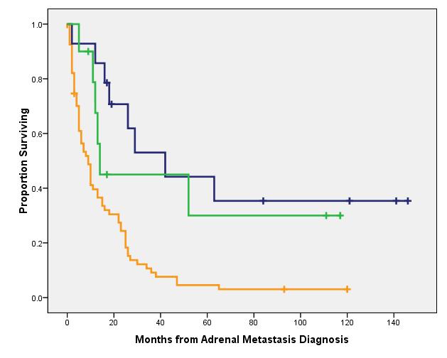 Metastasectomy: Selective Resection Adrenal Surgery No Surgery Curative Surgery Non-Curative Surgery No Surgery Median OS 29.2 months Median OS 9.4 months p <.