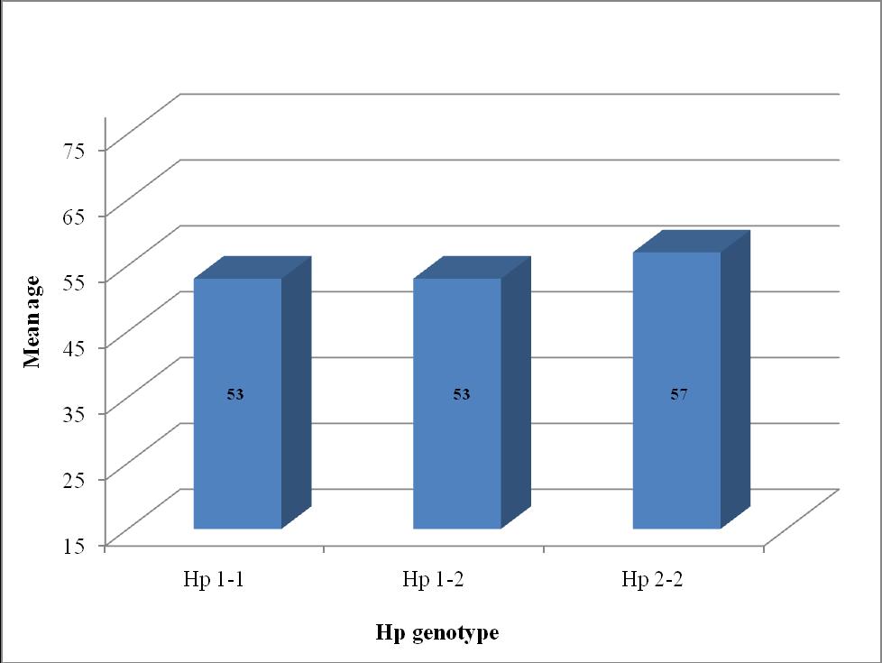 Figure 6. Hp genotype by mean age in the Caucasian population 4.1.