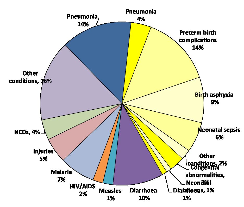 Major causes of death in neonates and children under five globally 2010 7.