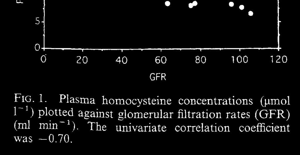 homocysteine concentration.