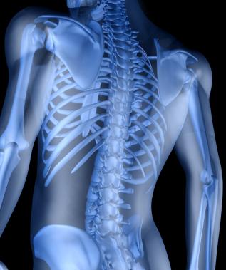 Introduction Chiropractic is a health care profession that focuses on disorders of the musculoskeletal system and the nervous system, and the effects of these disorders on general health.