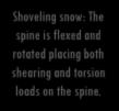 opposite directions Shoveling snow: The spine is flexed