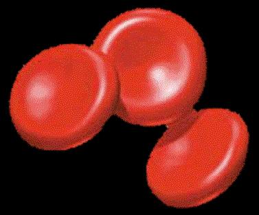 Red blood cells Use Hemoglobin to carry oxygen.