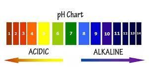 Urine- color, odor and ph, pg.