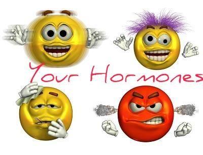 3. HORMONES made by the KIDNEYS A. Produces RENIN- regulates bp & kidney function B.