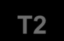 T2-hyperintensity