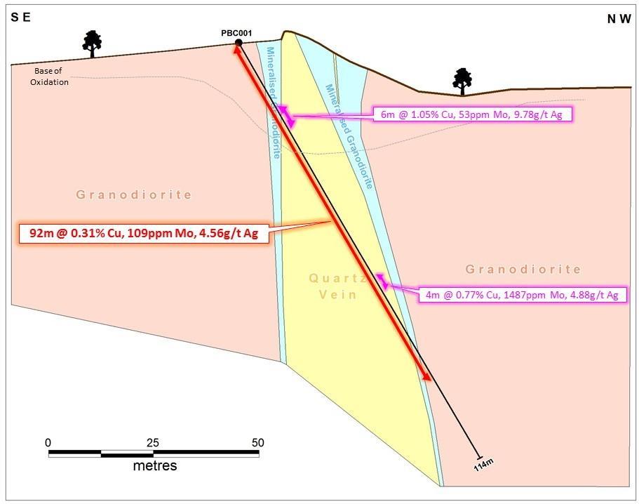 Figure 4. Pearl Bar prospect drilling cross-section and summary geology.
