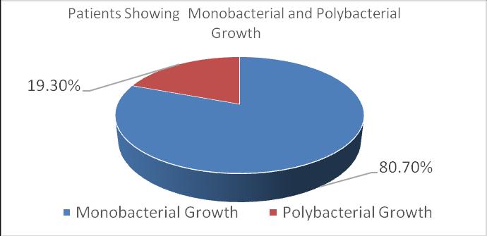 monobacterial and polybacterial growth Fig.