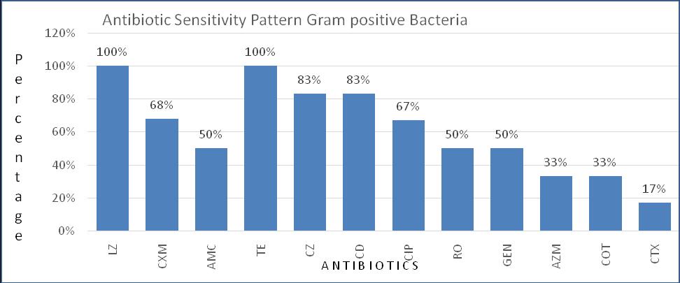 Fig.7 Antibiotic sensitivity pattern of Gram positive bacteria (Staphylococcus aureus N=6) All the isolates were subjected to antibiotic sensitivity test and the sensitivity pattern was noted.