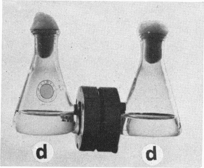 This dialysis cell likewise consists of three compartments, but the middle compartment consisted of a 50-ml Erlenmeyer flask.