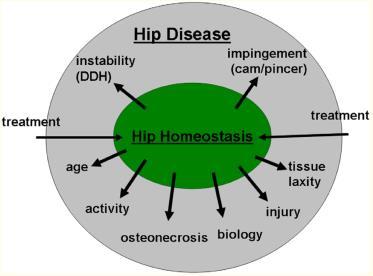 Hip disease in the young adult: current concepts of etiology and surgical treatment. J Bone Joint Surg Am. 2008 Oct;90(10):2267-81.