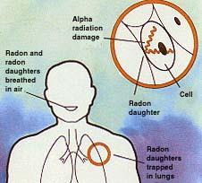 Radon - an invisible, odorless, and tasteless radioactive gas in soil and rocks 5.