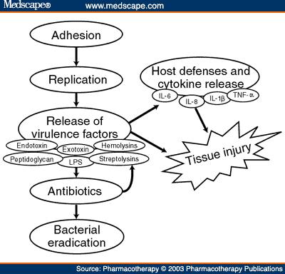 :Methods by which pathogens cause disease Adhesion.
