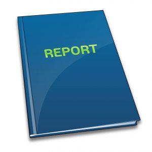 5. Carers Report Avril and Sue gave the carers report: