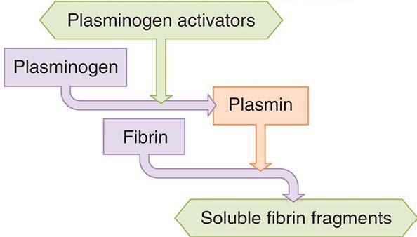 The Fibrinolytic System 纤维蛋白溶解系统 Fibrinolysis 纤维蛋白溶解 The process by which the fibrin clot is removed from the site of vascular injury during the healing process Components of