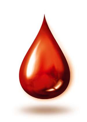 Blood volume & blood transfusion Blood volume 血量 The total blood