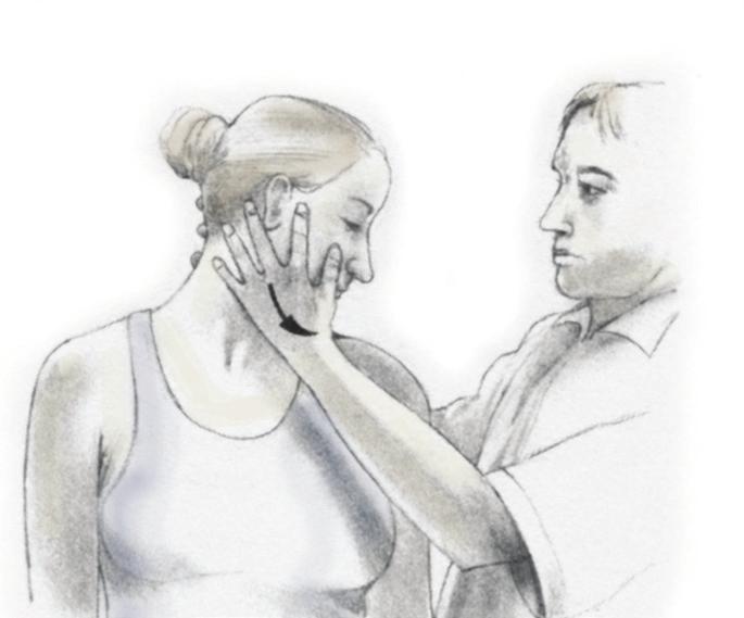 2 THERAPIST/CLIENT MANUAL The Neck Neck Assessment Tests A full assessment of the neck which distinguishes between disc, ligament, muscle, and other injuries includes more than 40 assessment tests,