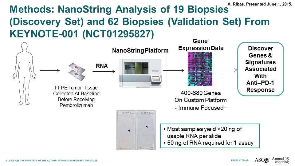 Beyond PD-L1 and PD-L2 - NanoString Platform for Gene Expression