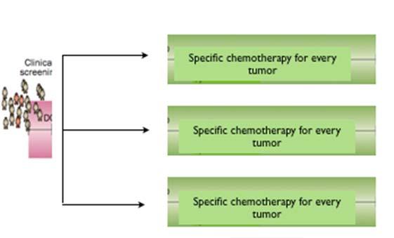 Radiotherapy Few chemotherapies Disease guided approach Increase on therapeutic options allowed