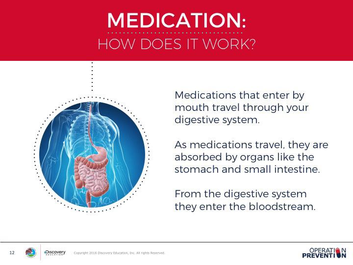 DAY 2 SLIDE 12 Use the provided diagram to explain how medications that enter the body through the mouth travel through the digestive system.
