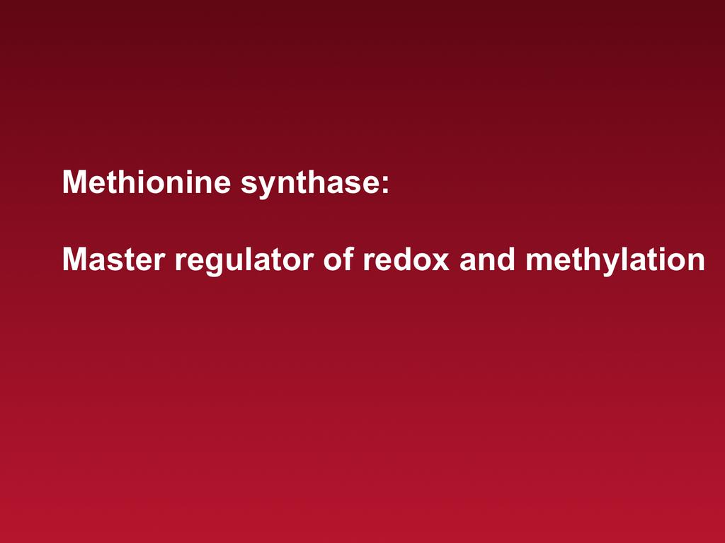 Methionine synthase controls all