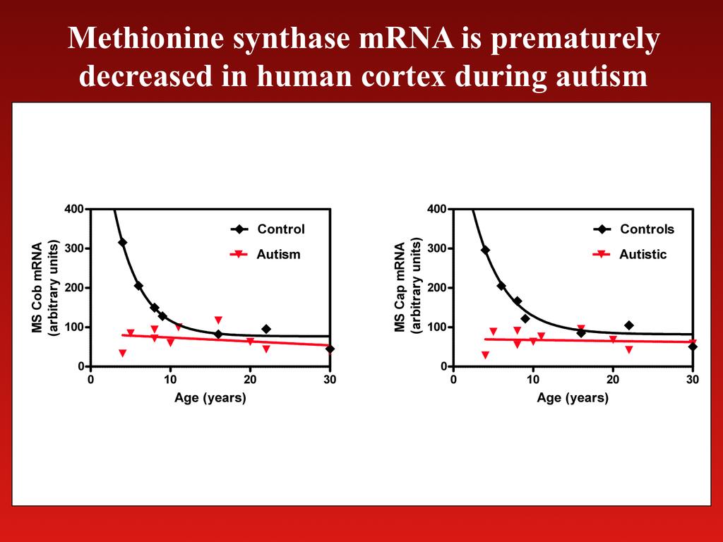 We carried out a comparison of methionine synthase mrna levels in postmortem brain samples of autistic and non-autistic subjects.