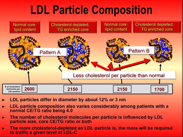 12 TG in November - yet the large TG-rich LDLs might be very CE-depleted (more so than they were in May) and LDL-C goes down and LDL-P goes up.