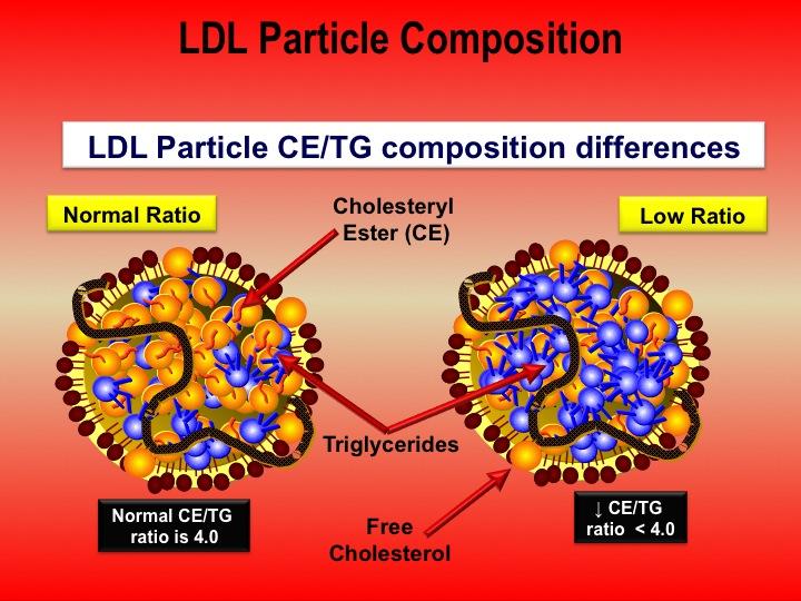 5 Under normal physiologic conditions, an HDL particle should not carry significant