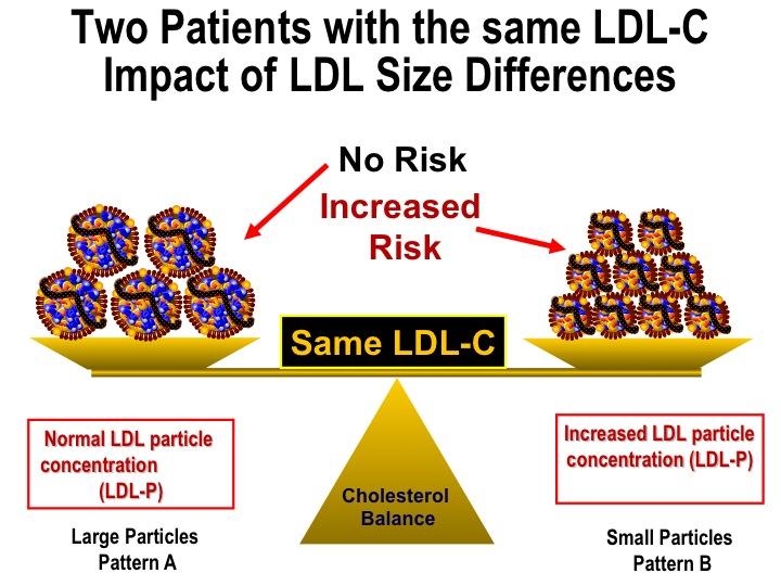 7 (2) If one increases the number of TG molecules per LDL particle, then there will be less room for CE molecules. TG-enrichment of LDLs is associated with CE-depletion.