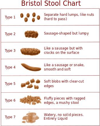 Bristol Stool Scale According to The Bristol Stool Scale, the seven types of stool are: Type 1: Separate hard lumps, like nuts (hard to pass)bristol_stool_chart Type 2: Sausage-shaped, but lumpy Type