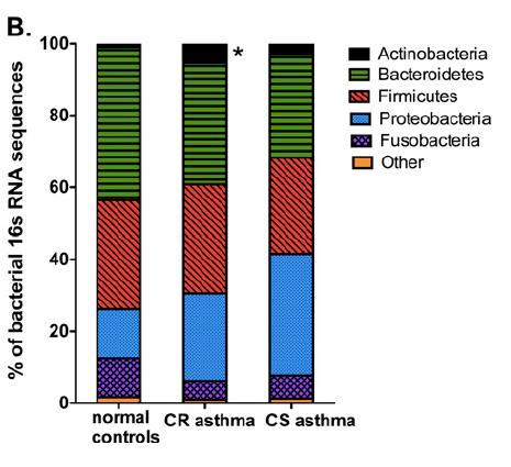 Asthma Microbiome : association with oral steroid response BAL from 39 asthmatics and 12 controls No significant response in phylum level between CR and CS, while subset of patients with CR have an