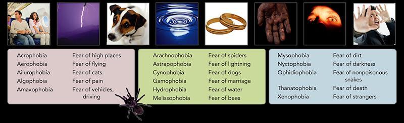 EXAMPLES OF PHOBIC DISORDERS