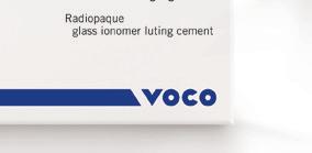 the contents of a VOCO application capsule directly into the